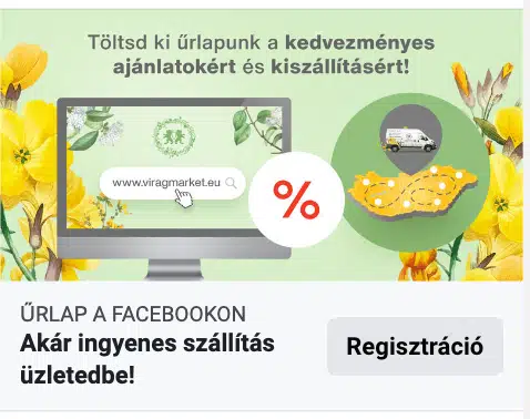 viragkereskedes kep4