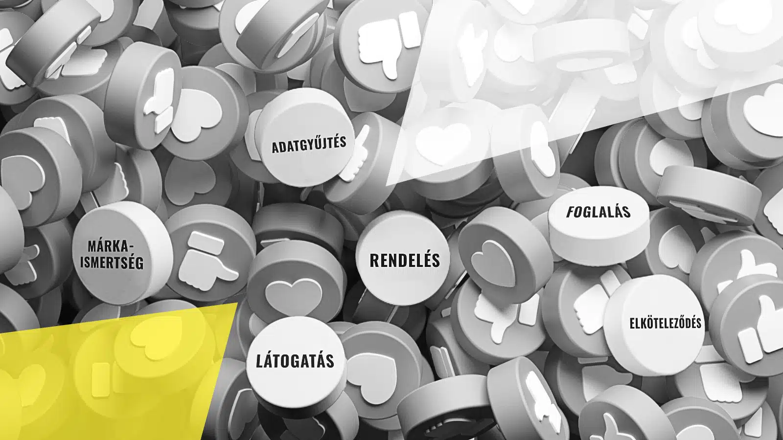 A közösségi média marketing ereje, szerepe, és a siker fokmérője - MAON